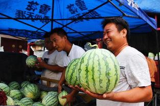 网红吃1000多的瓜,品味奢华美食之旅 第3张 网红吃1000多的瓜,品味奢华美食之旅 第3张